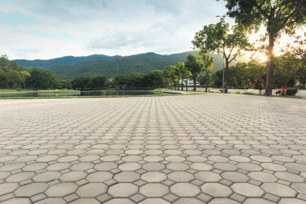 Best Permeable Paver Driveway  in Ives Estates, FL
