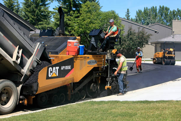 Best Driveway Paver Repair  in Ives Estates, FL